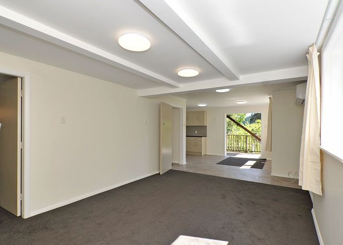  at 13A Konini Road (Lower Flat), Hataitai, Wellington, Wellington
