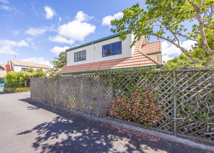  at 101B Clarence Street, Hamilton Lake, Hamilton, Waikato