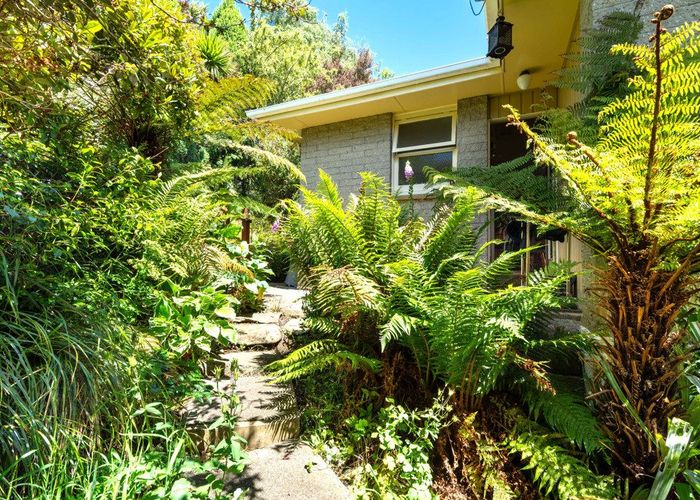  at 177 Evans Street, Opoho, Dunedin, Otago