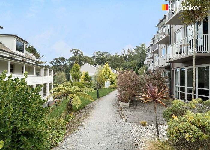  at 12/73 Buccleugh Street, North East Valley, Dunedin, Otago