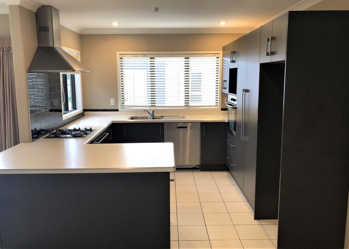  at 12D Edgecumbe Street, Whitiora, Hamilton