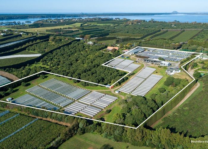  at 107 Ongare Point Road, Katikati, Western Bay Of Plenty, Bay Of Plenty