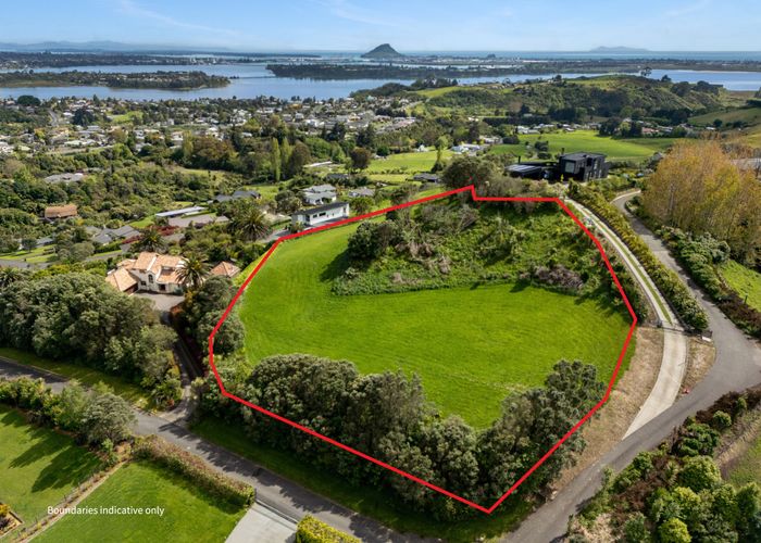  at 19 Estates Terrace, Welcome Bay, Tauranga, Bay Of Plenty
