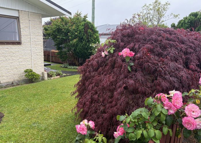  at 1/14 Burns Street, Westown, New Plymouth, Taranaki