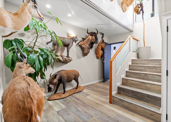  at 3 Elgin Place, Red Beach, Rodney, Auckland