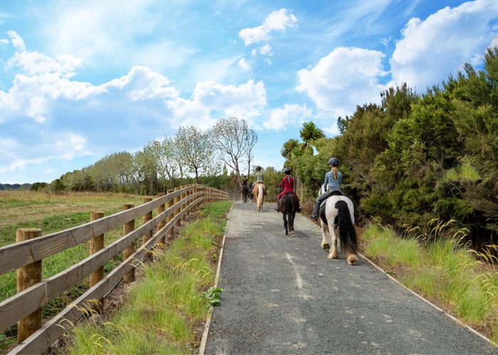  at 144 Papakura-Clevedon Road, Clevedon, Manukau City, Auckland