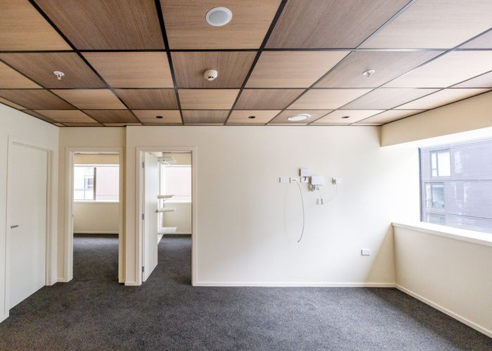  at Type '05'/203 Willis Street, Te Aro, Wellington, Wellington