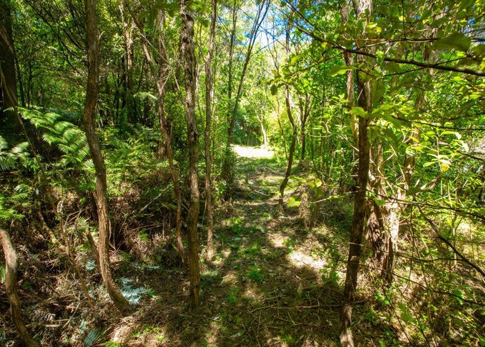  at 6 Obrien Road, Omiha, Waiheke Island, Auckland