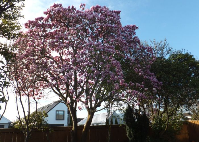  at 1/104 Rugby Street, Merivale, Christchurch City, Canterbury