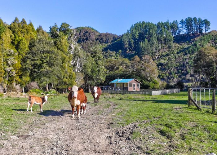  at Kauarapaoa Road, Brunswick, Whanganui, Manawatu / Whanganui