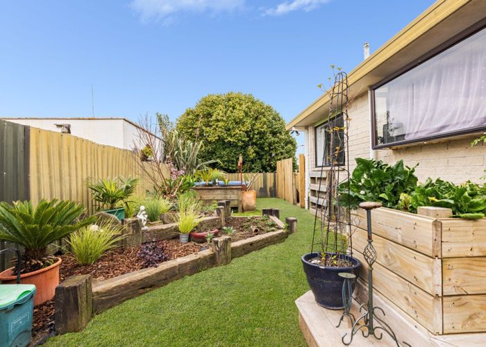  at 157B Sixteenth Avenue, Tauranga South, Tauranga, Bay Of Plenty