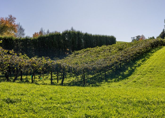  at 394 Old Highway, Whakamarama, Whakamārama