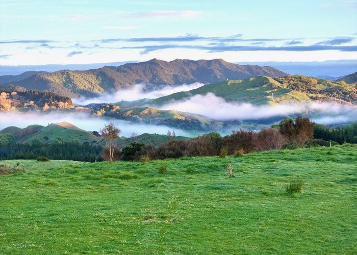  at 6 DP 409779/Lot 6 DP 409779 Gaddums Hill Road, Outer Kaiti, Gisborne, Gisborne