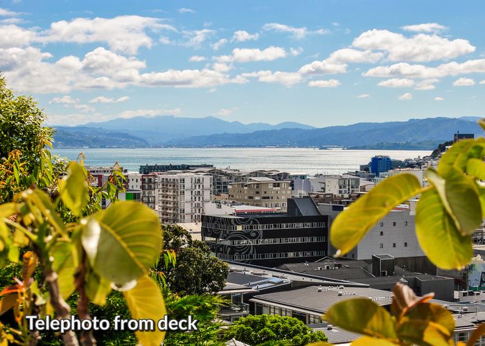  at 51 Thompson Street, Mount Cook, Wellington