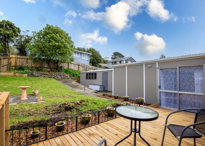  at 19 Desert Gold Street, Ascot Park, Porirua, Wellington