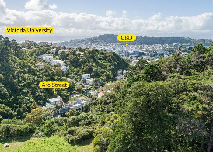  at 1C Holloway Road, Aro Valley, Wellington, Wellington