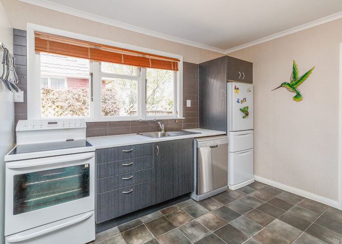  at 36 Manchester Street, Takaro, Palmerston North