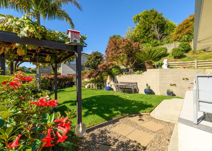  at 7 Dillon Way, Otumoetai, Tauranga, Bay Of Plenty