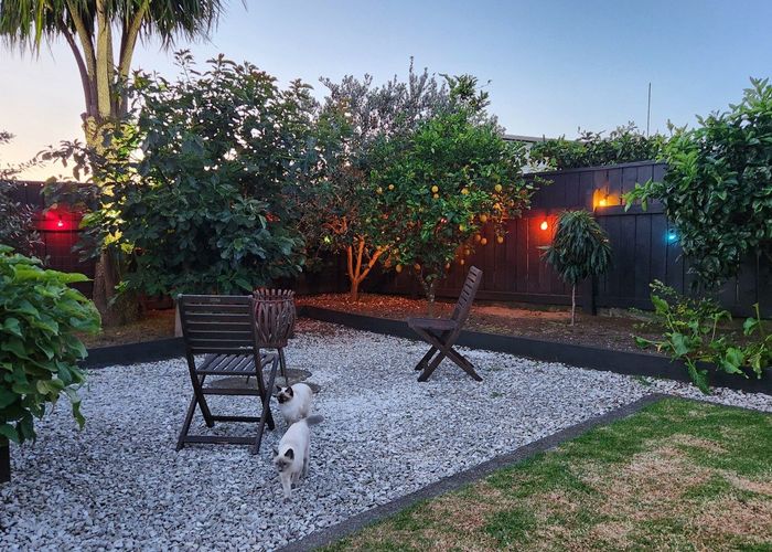  at 164 Tukapa Street, Westown, New Plymouth, Taranaki