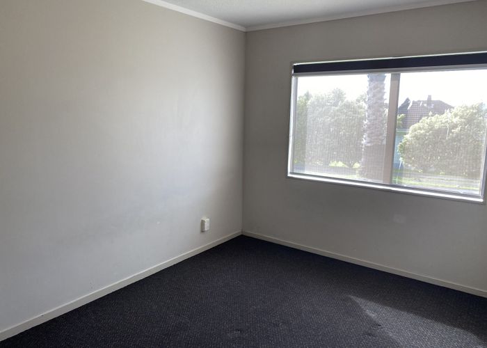  at 151 Waihi Road, Judea, Tauranga
