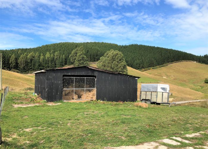  at 54 Nore Street, Waihola, Milton