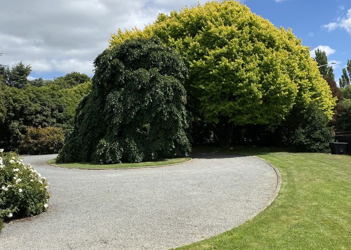  at 241 Trices Road, Prebbleton, Selwyn, Canterbury