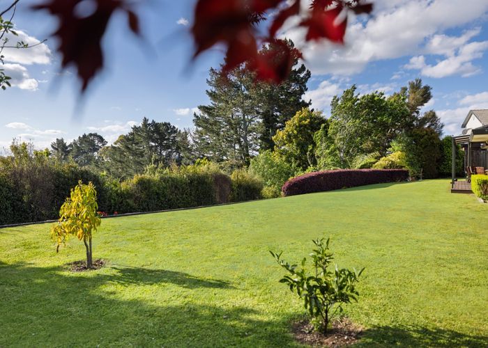  at 15 Stableford Drive, Pyes Pa, Tauranga, Bay Of Plenty