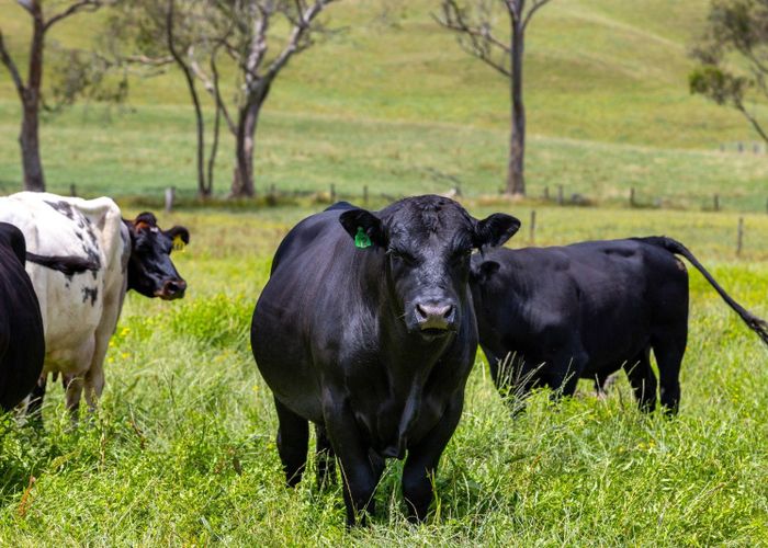  at Bankier Road, Horsham Downs, Hamilton, Waikato