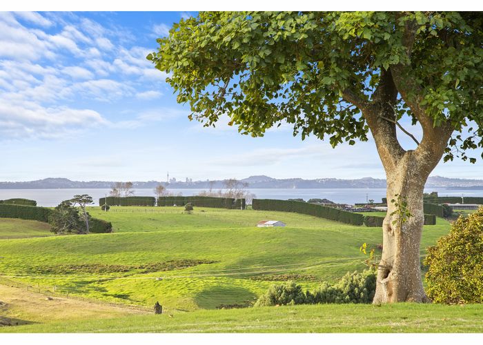  at 16 Tearoe Road, Waiuku