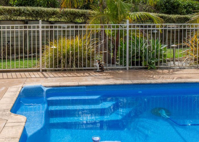  at 23 Notch Place, Alfriston, Auckland