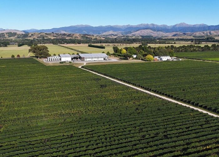  at 286 Paierau Road, Opaki, Masterton, Masterton, Wellington