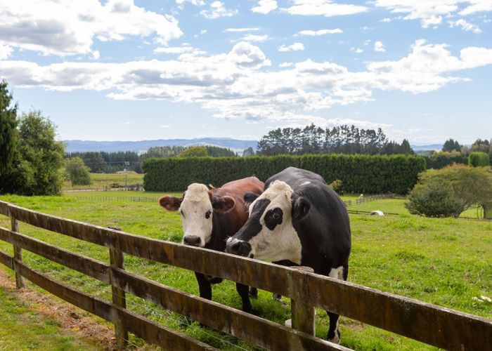  at 207C Peers Road, Tauranga