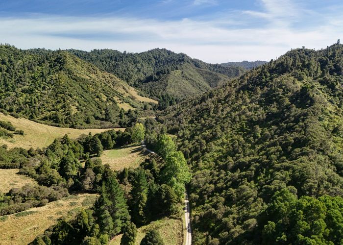  at 1529 Kauarapaoa Road, Brunswick, Whanganui, Manawatu / Whanganui