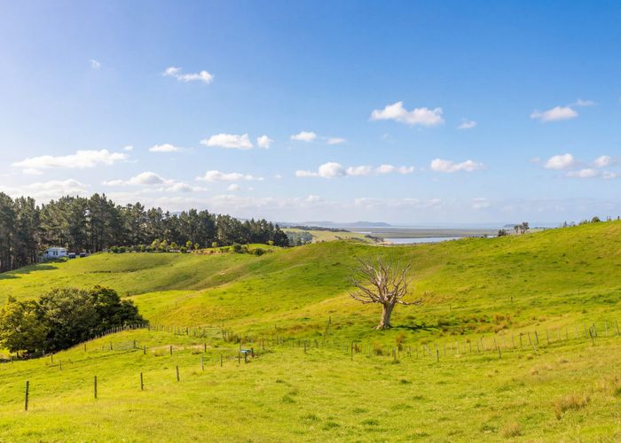  at 47 Witheford Road, Wellsford, Rodney, Auckland
