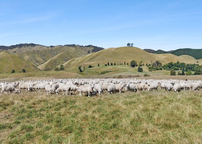  at 959 Eighty Eight Valley Road, Wakefield, Tasman, Nelson / Tasman