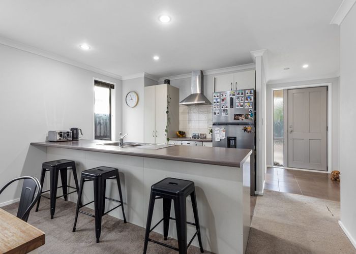  at 6 Blossom Grove, Papamoa, Tauranga, Bay Of Plenty