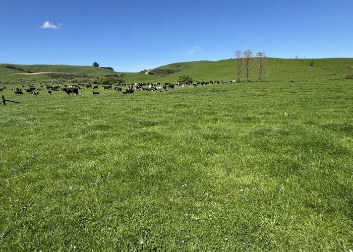  at 1209 SHWY 3 Otorohanga Road, Otorohanga, Otorohanga, Waikato