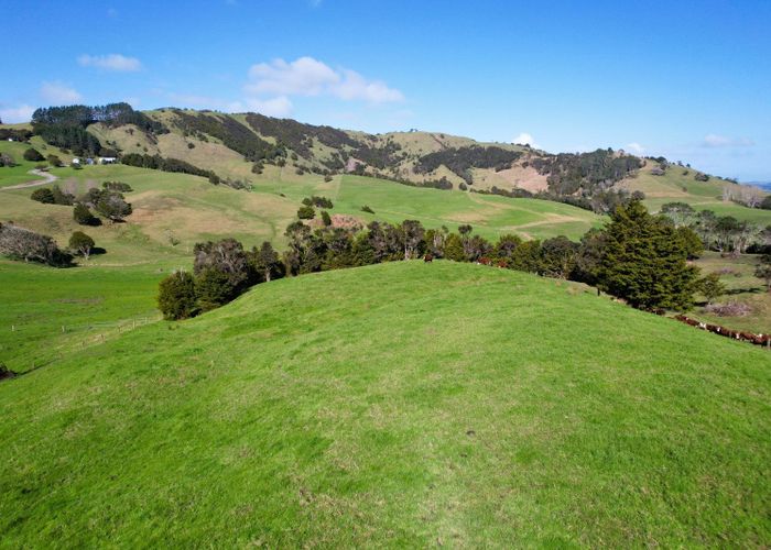  at Whakahara Road, Dargaville, Kaipara, Northland