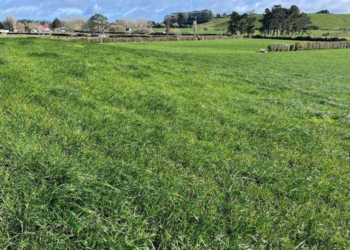  at 165 Rawhitiroa Road, Eltham, South Taranaki, Taranaki