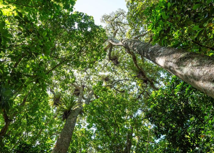  at 249 Te Ahu ahu Road, Kerikeri, Far North, Northland