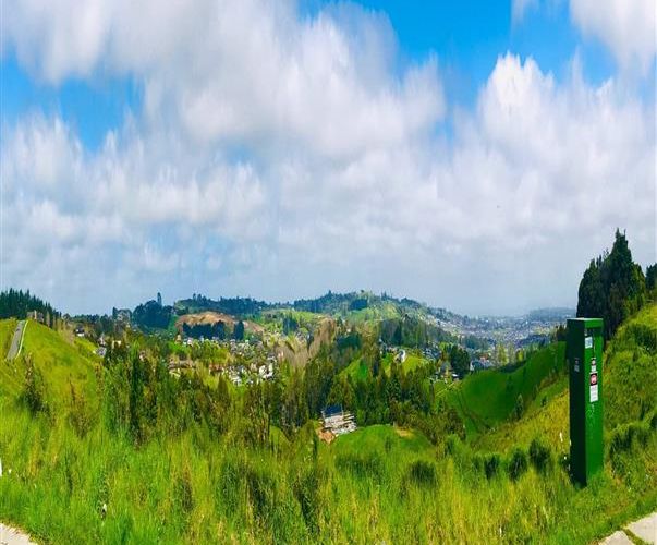  at 1 Kitenga Road, Flat Bush, Auckland