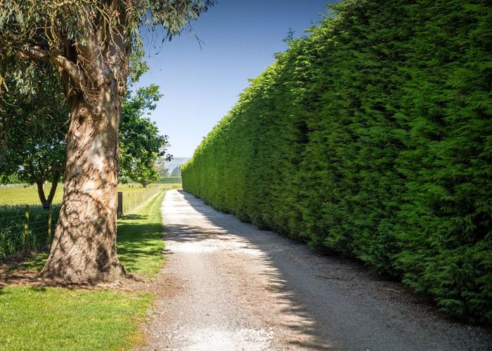  at 152 Bellam Road, Rolleston, Selwyn, Canterbury