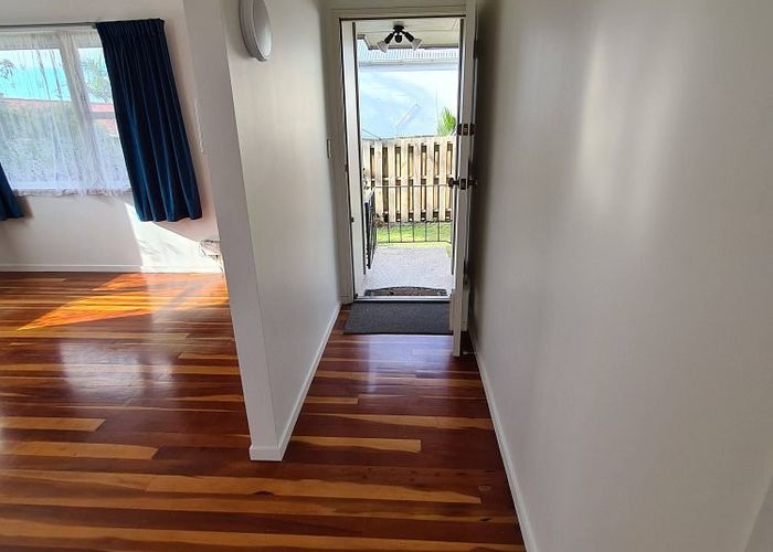  at 19A Euston Road, Sandringham, Auckland City, Auckland