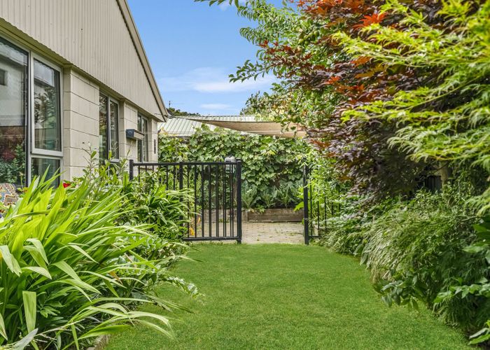  at 5/17 Barrie Street, Addington, Christchurch City, Canterbury