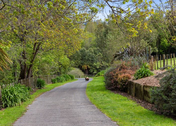  at 0(b) McLaren Falls Road, Omanawa, Western Bay Of Plenty, Bay Of Plenty