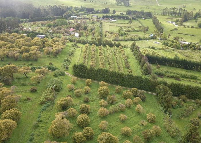  at 405 Tara Road, Mangawhai, Kaipara, Northland