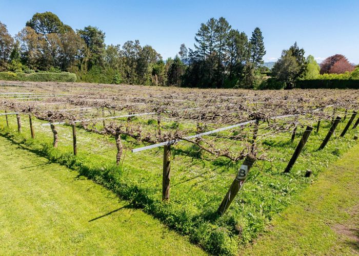  at 668 Pyes Pa Road, Pyes Pa, Tauranga, Bay Of Plenty