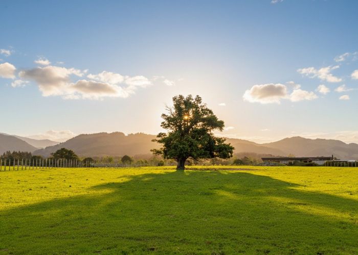  at 284 Woodside Road, Greytown, South Wairarapa, Wellington