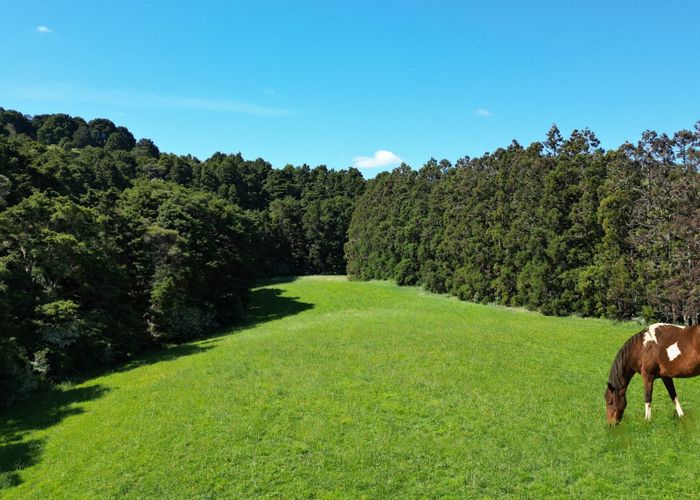  at 805 Whangaripo Valley Road, Whangaripo, Wellsford