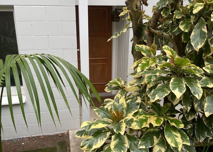  at 30 Mainston Road, Remuera, Auckland